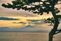 ただただ夕方の海♡