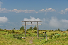 鳥居から下界を見て何思ふ