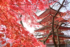 秋．慰霊塔