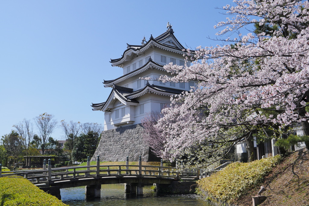 のぼうの城に春