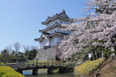 のぼうの城に春