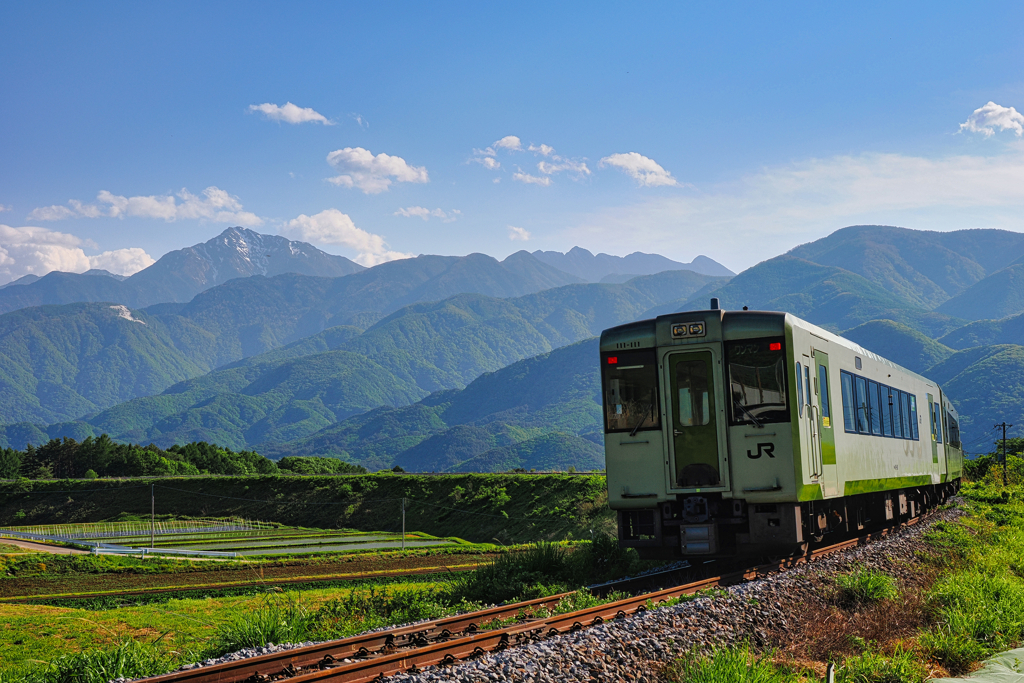 南アルプスと高原列車