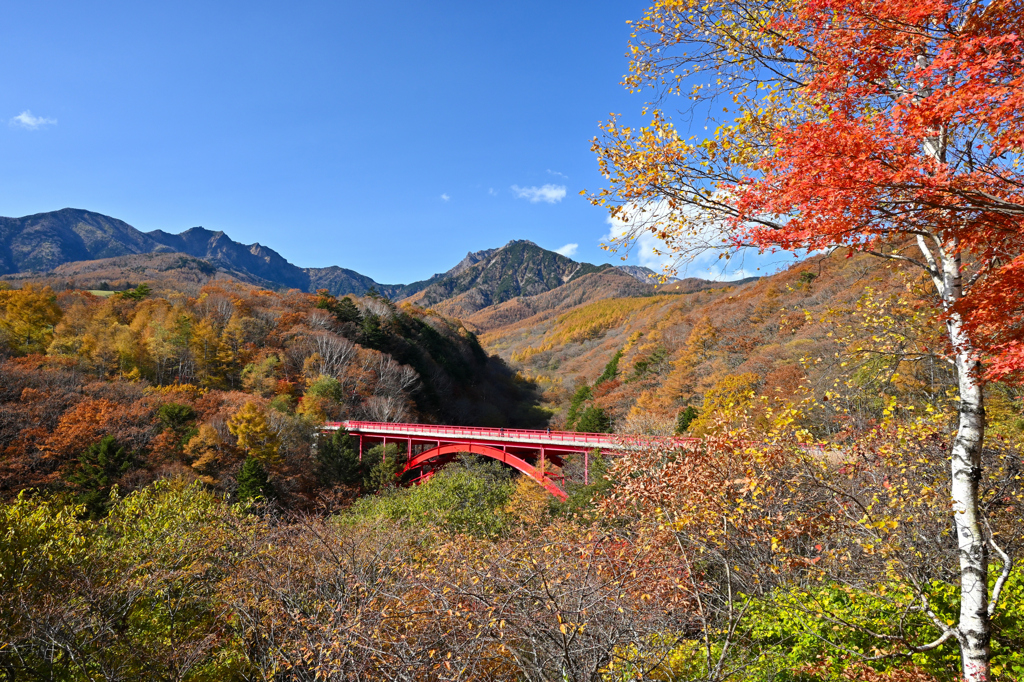 八ヶ岳　秋