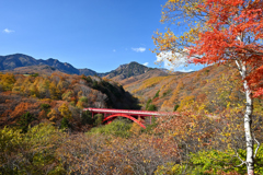 八ヶ岳　秋