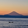 相模湾越しの夕富士