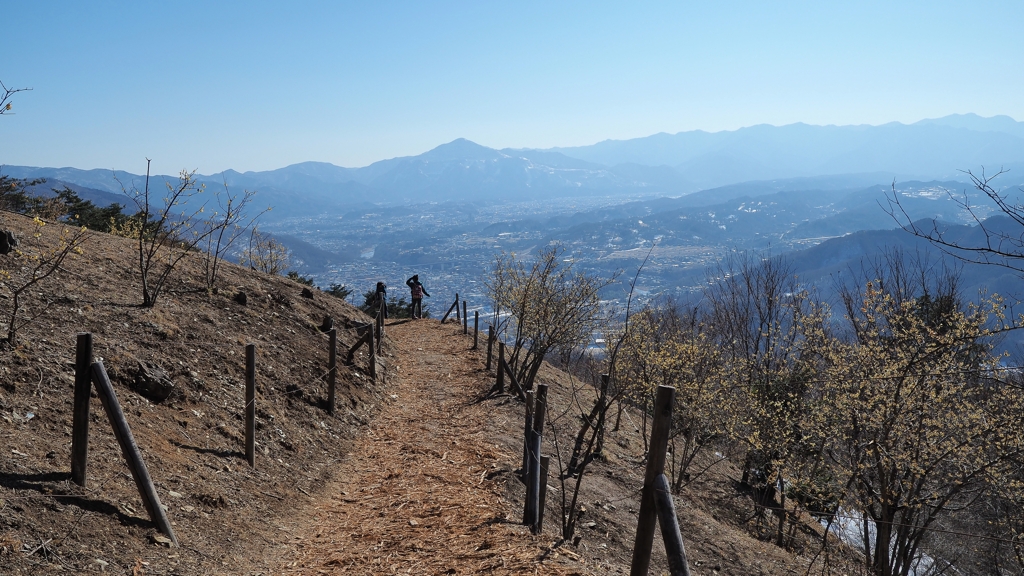 宝登山蝋梅園から見た秩父の町並みと武甲山
