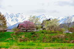 田舎の春
