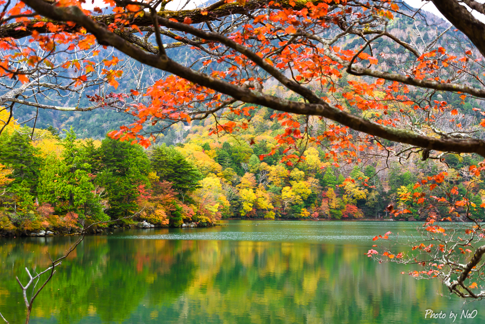 湖畔の紅葉