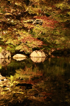 徳川園