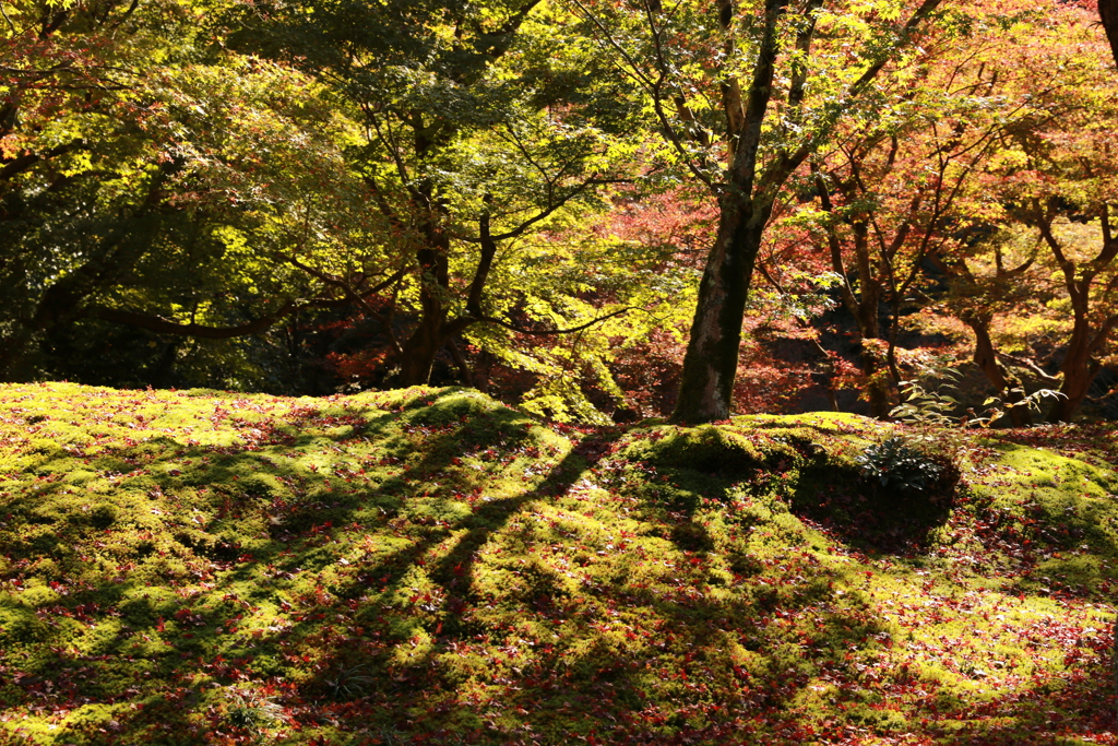 東福寺