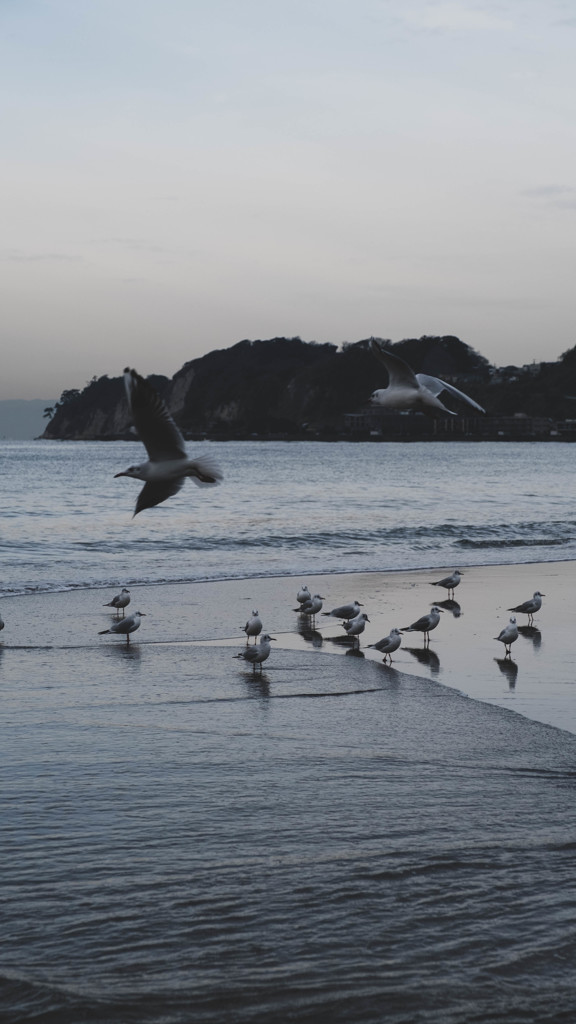 3B0B7096-3F32-4EC5-B6E9-10AC6DCCEBCF