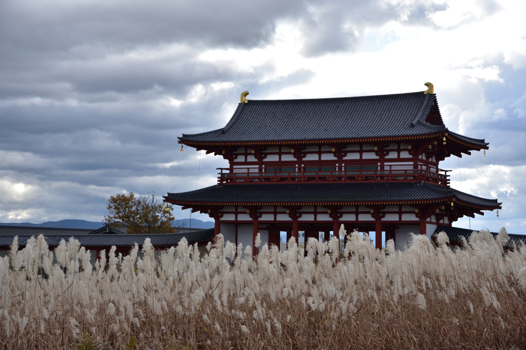 芒　平城宮跡