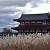芒　平城宮跡
