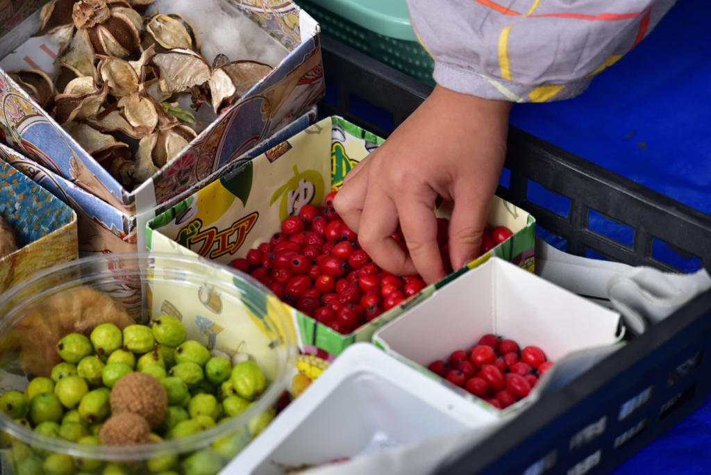 木の実を選ぶ