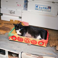マイホーム