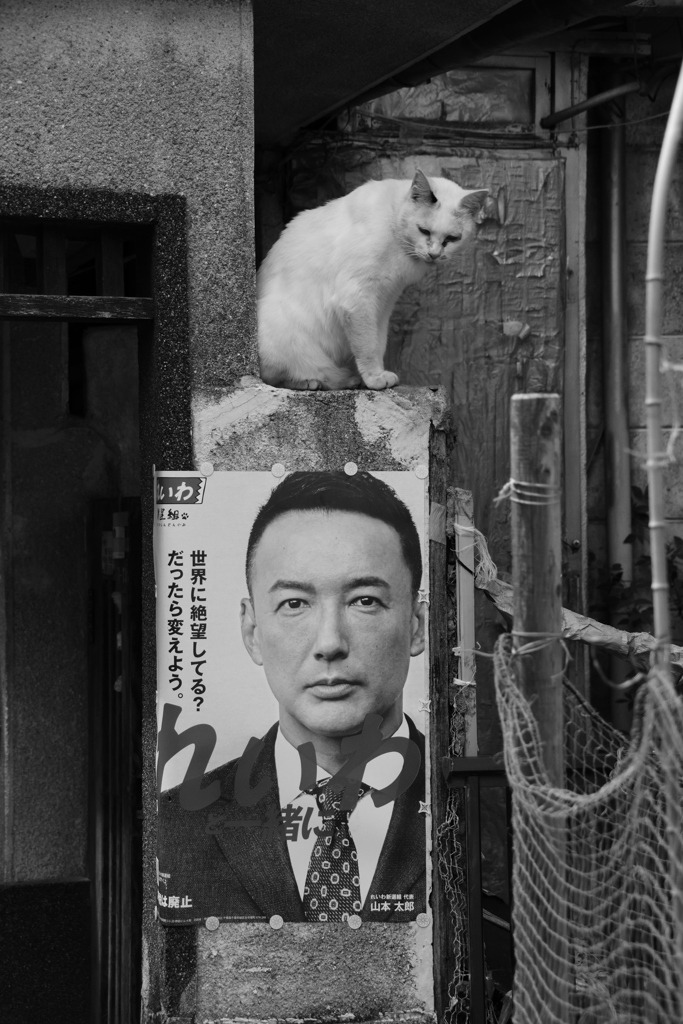 参道