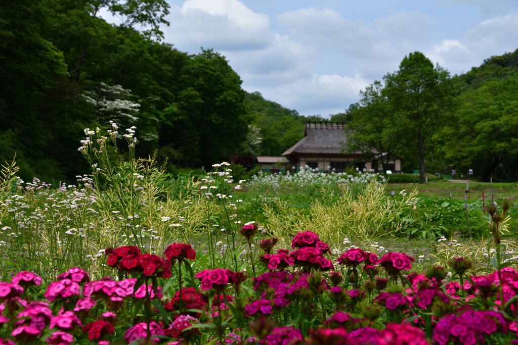 西谷　農園