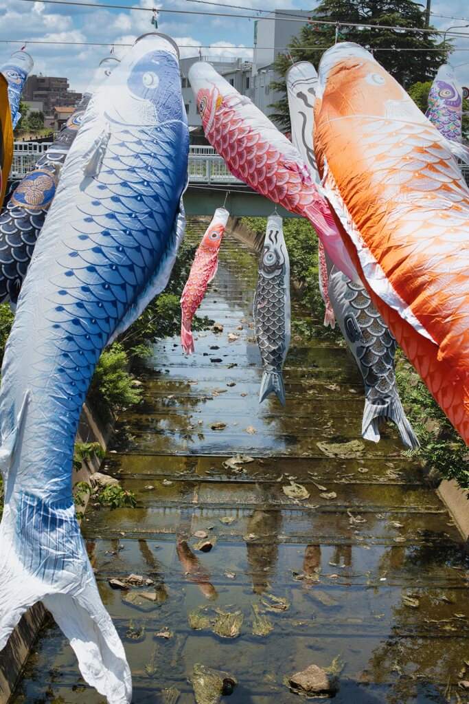 風をおよぐ