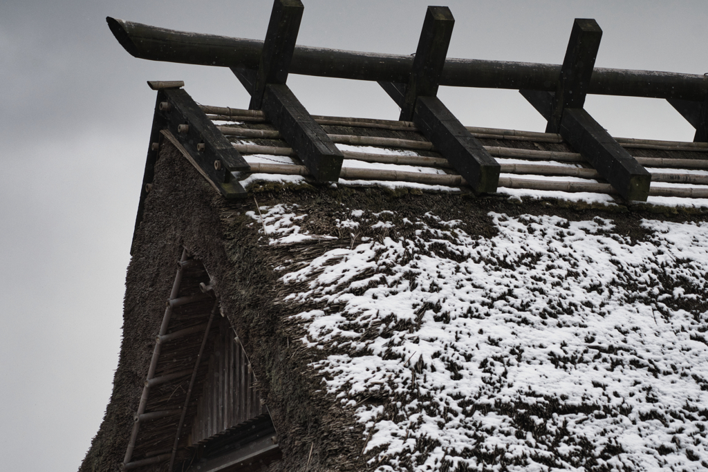 雪ぐも