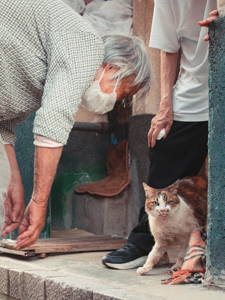 近所の人気者