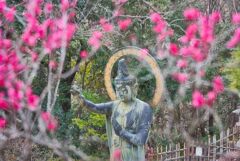 紅梅と観音菩薩像