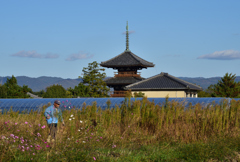 三重塔　法起寺