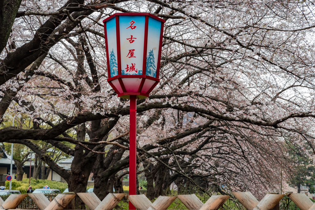 花曇り