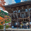 秋色 善峯寺①