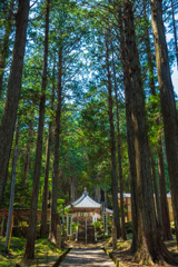 尾高観音 慈眼寺 観音堂①