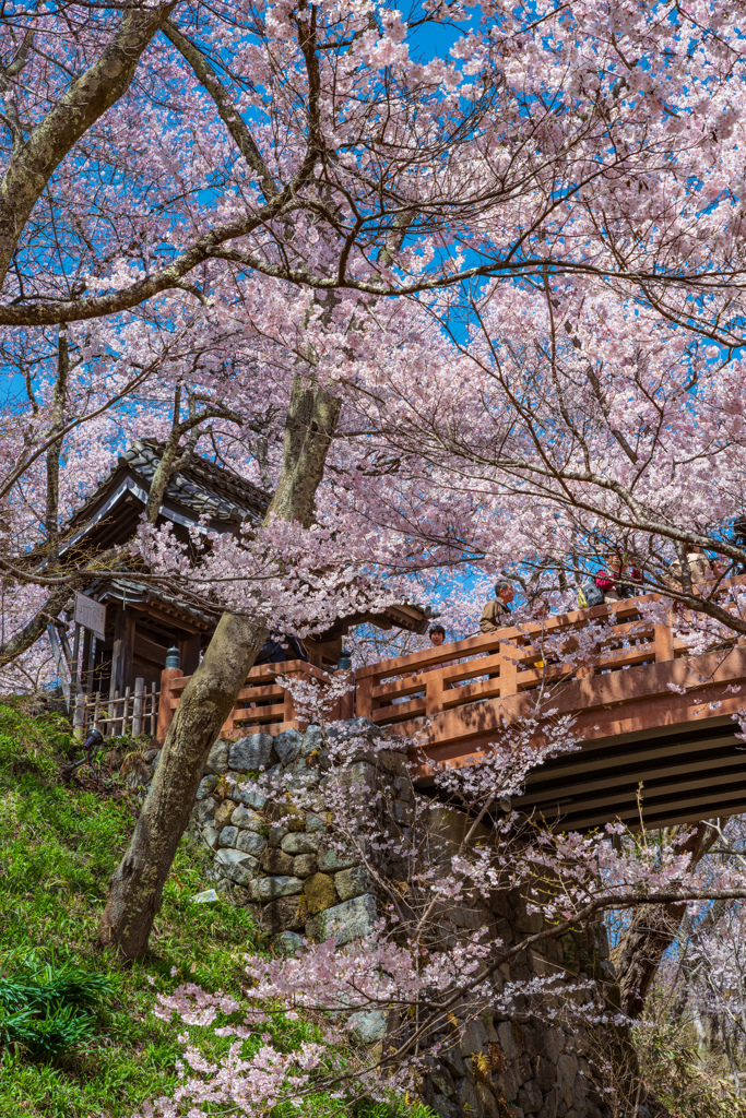 桜雲橋