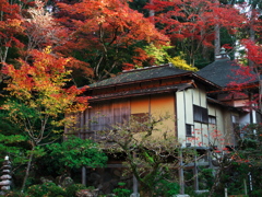 湖東三山 金剛輪寺 紅葉