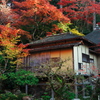 湖東三山 金剛輪寺 紅葉