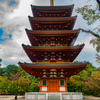 西国２８番 成相寺 五重塔