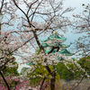 名古屋城