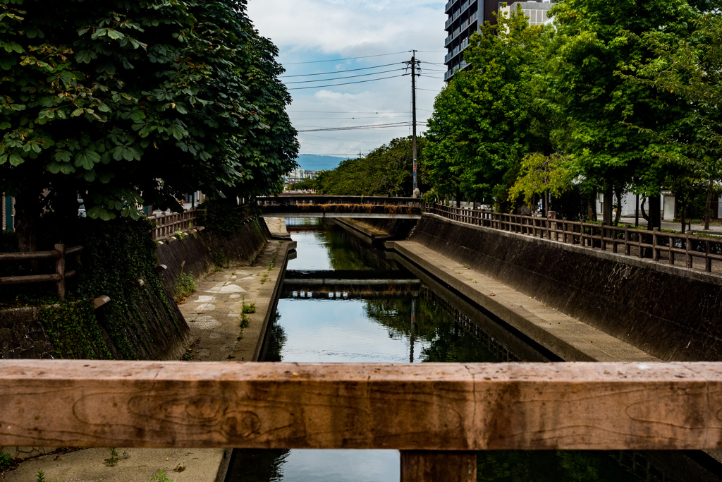 大垣駅前スナップ③