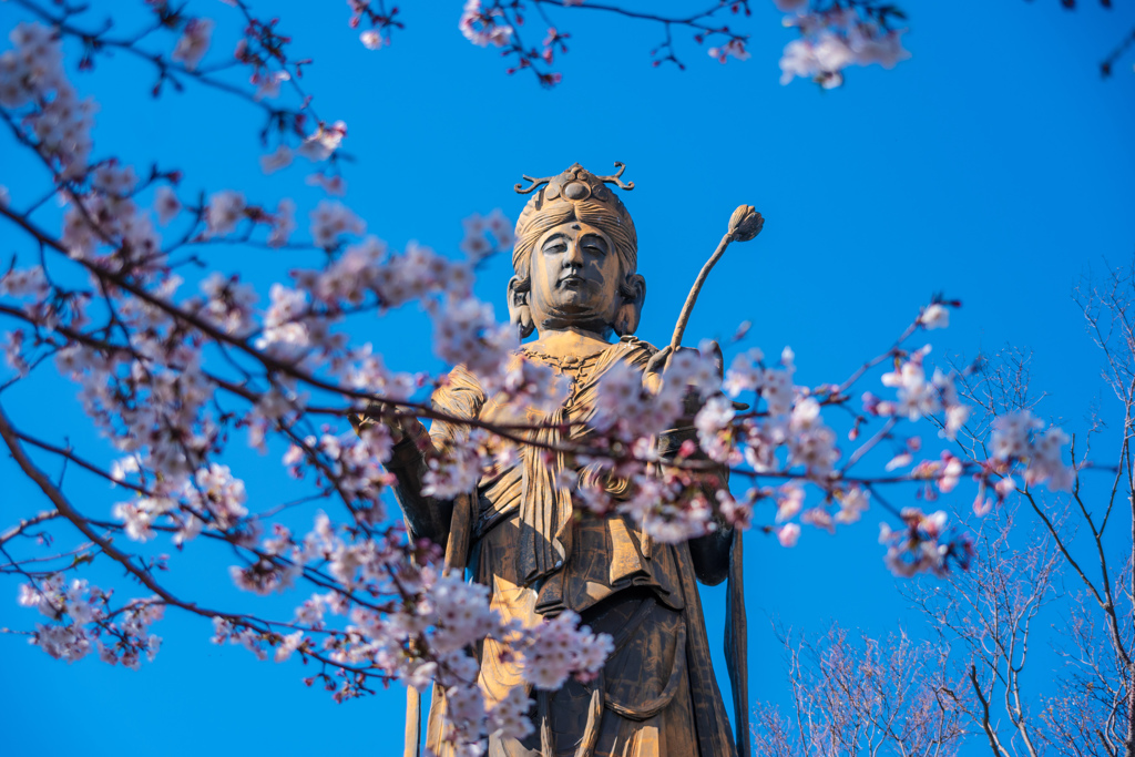 舘山寺大観音①