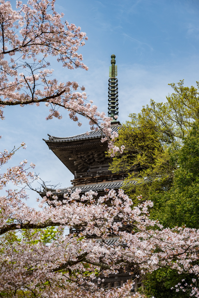 安来清水寺