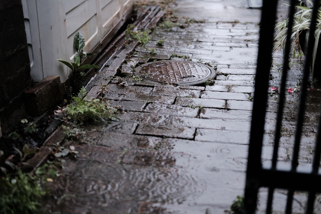 雨