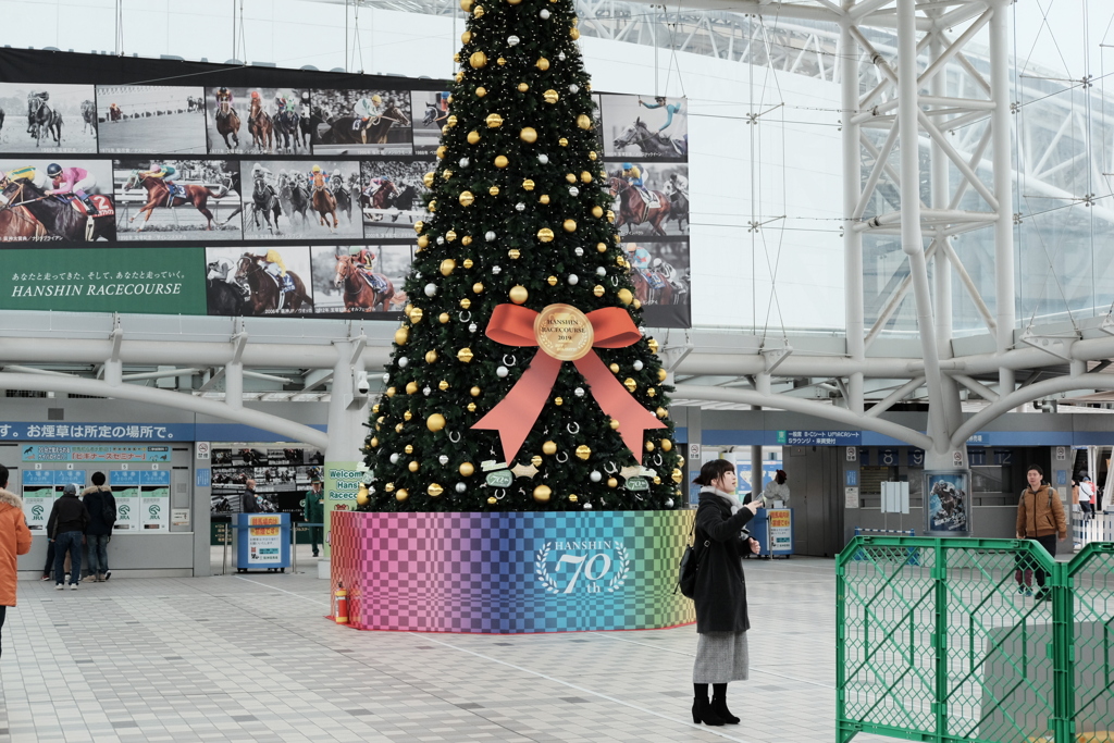 阪神競馬場　クリスマスバージョン