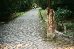 御陵参道