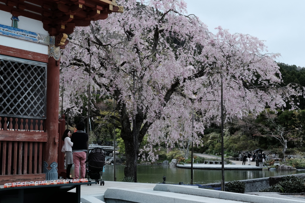 勝尾寺