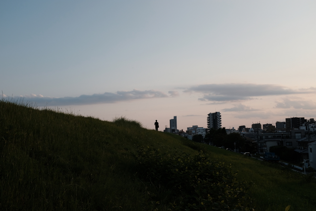 淀川　土手