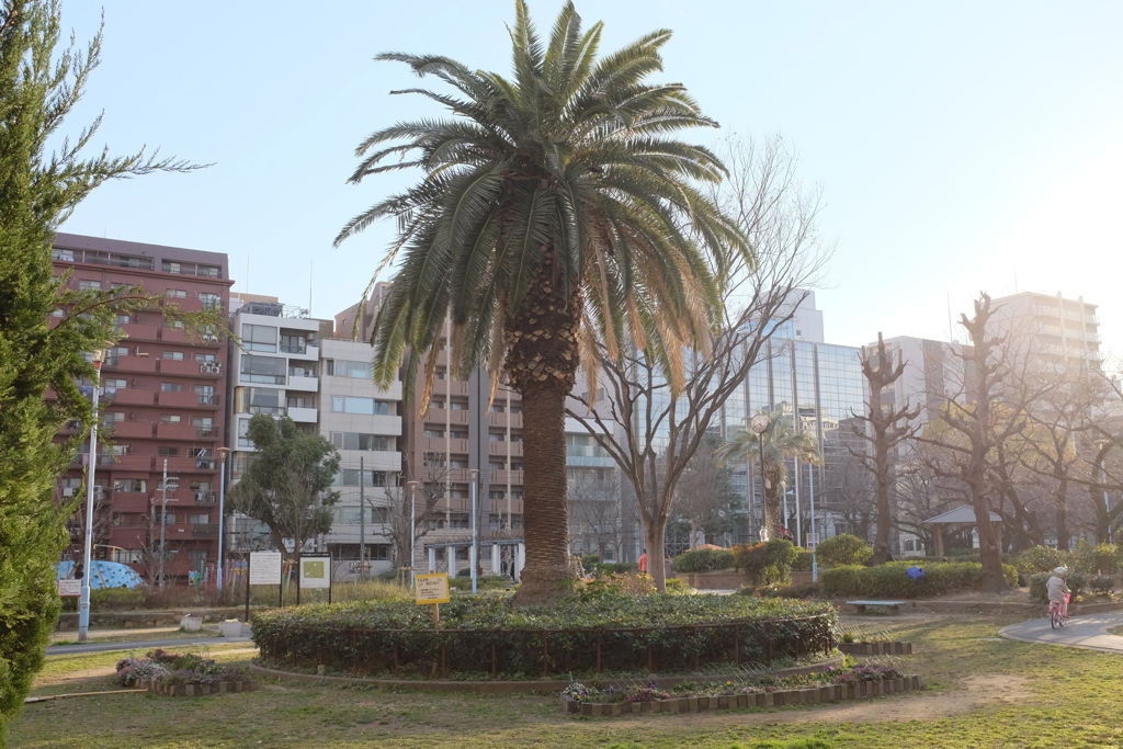 中大江公園