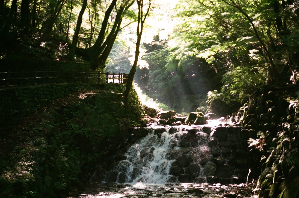 養老公園