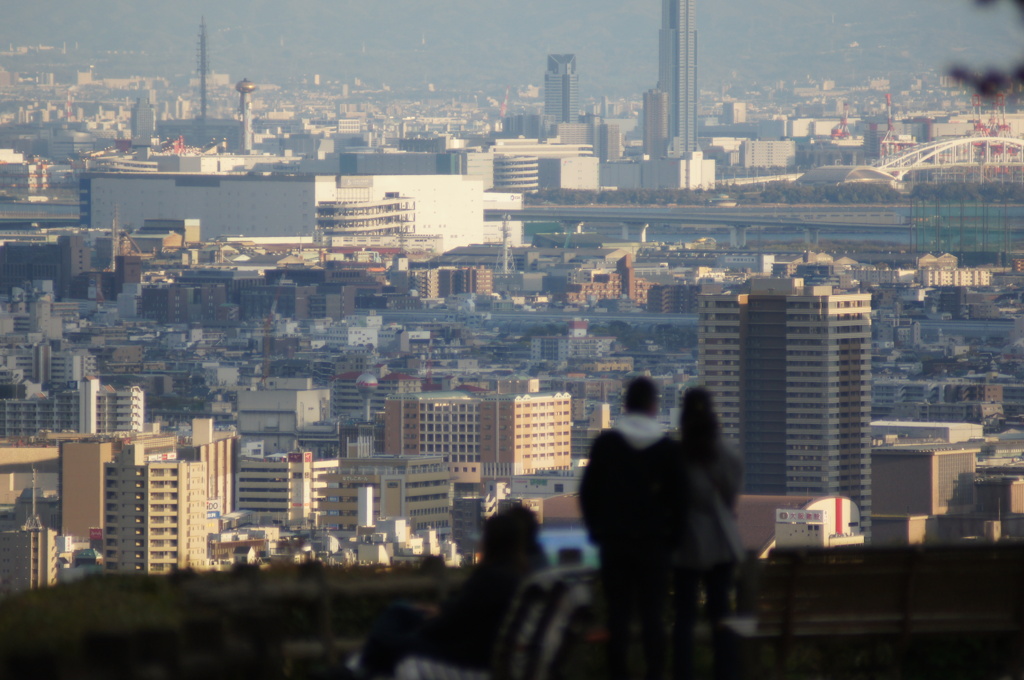 甲山森林公園 展望台