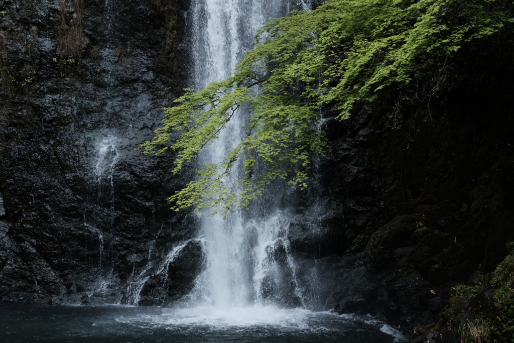 箕面大滝