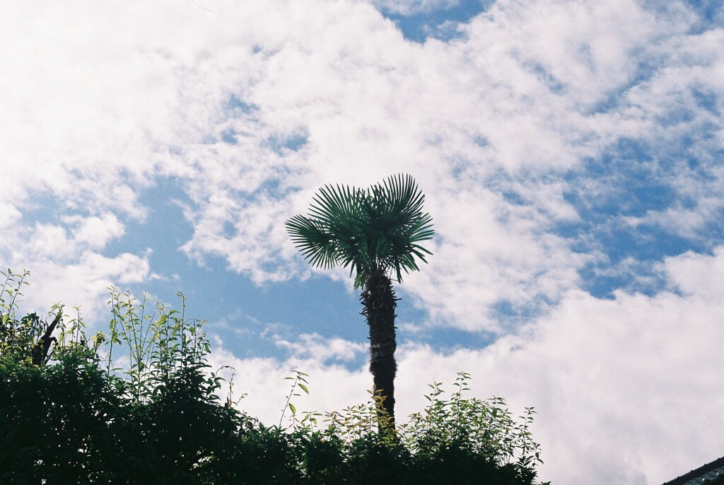 秋の空