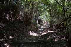 城山