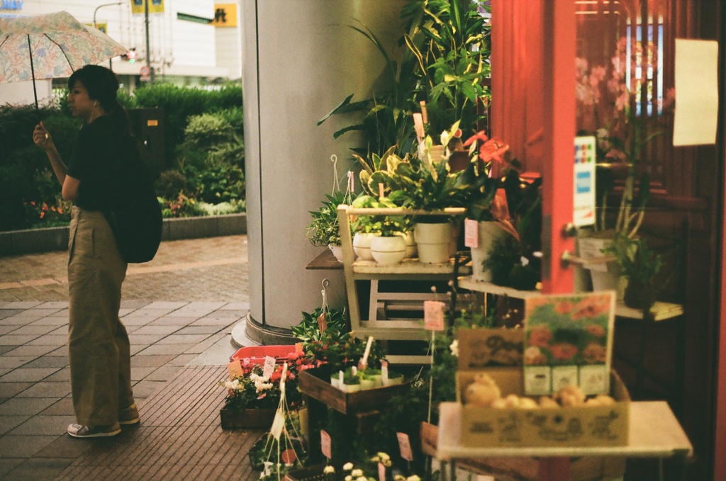花屋さん