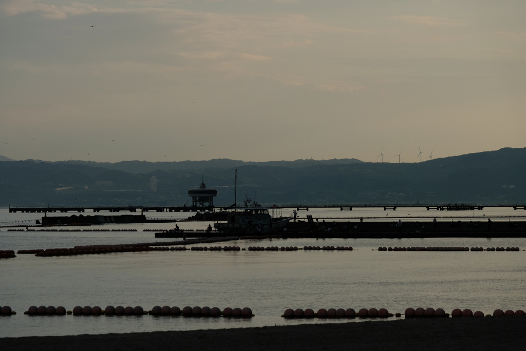 海釣り公園